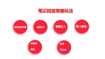 小红书投放玩法