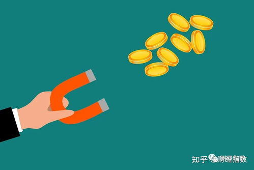 容易涨粉的个人介绍