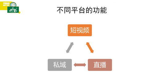 小红书是公域流量还是私域流量