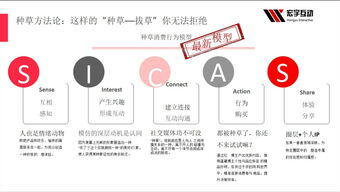 小红书引流