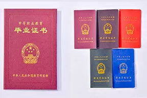 预备技师和大专文凭 哪个好