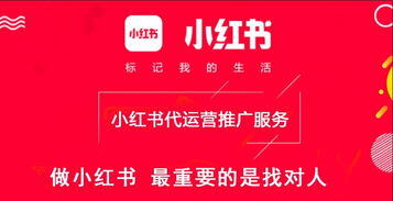 小红书怎么提升流量
