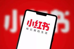 小红书没流量要坚持吗