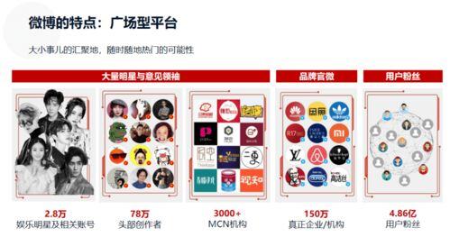 抖音小红书是什么平台