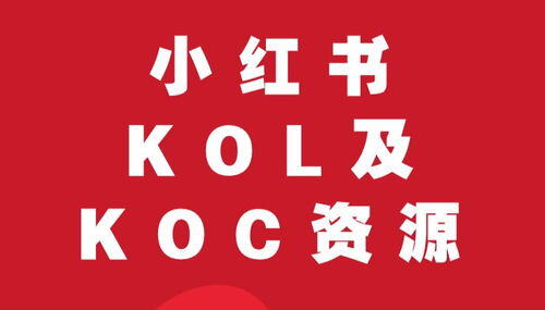 如何在小红书上推广