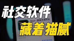 soul怎么赚钱