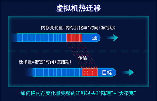 100%能上热门的文案