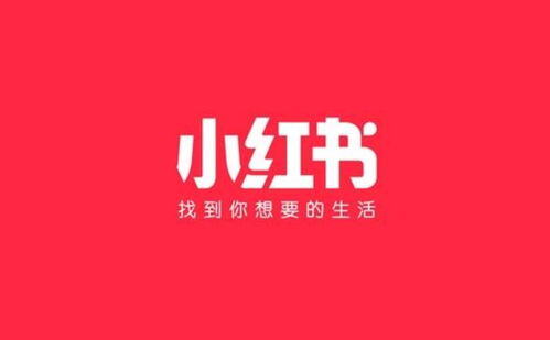 小红书如何快速涨粉