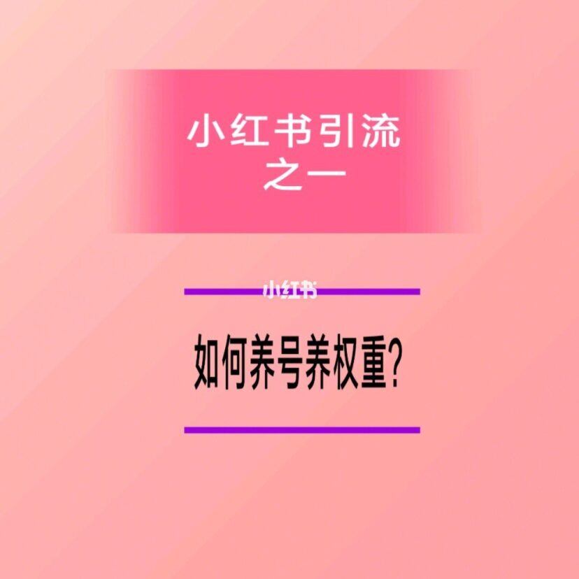小红书怎么提高流量