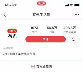 小红书是谁旗下的