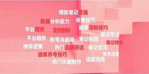 小红书账号运营方案