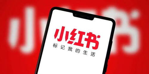 做小红书运营有前途吗
