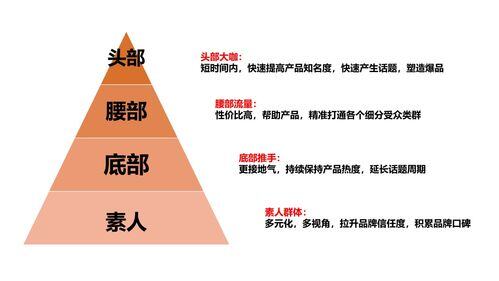 小红书的运营模式