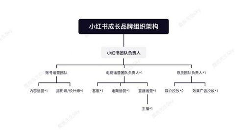 小红书运营团队
