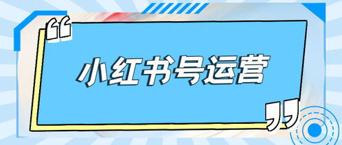 怎么经营小红书