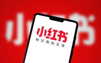 小红书是公域流量还是私域流量