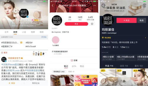 小红书粉丝下单平台
