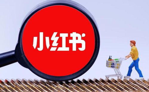 小红书短视频如何收益
