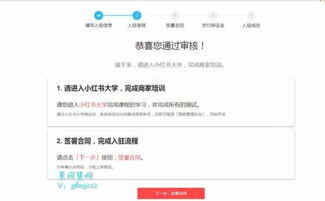 小红书什么类目好做