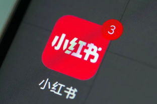 小红书怎么花钱买流量