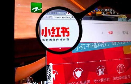小红书如何做推广增粉