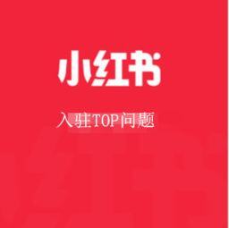 小红书入驻