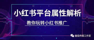小红书商家登陆平台网址