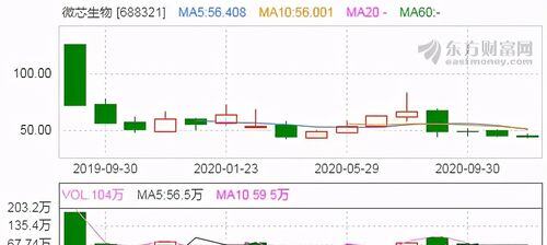 a股毛利率最高的公司