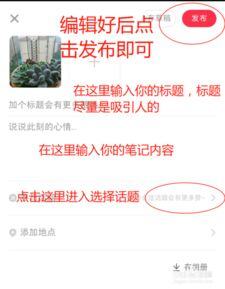 小红书发布的笔记怎么让更多人看到