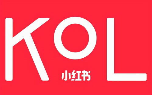 小红书怎么提升流量