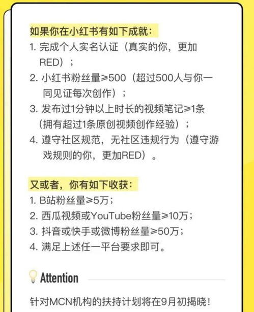 小红书视频号认证条件