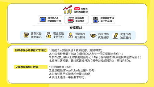 小红书视频号认证条件