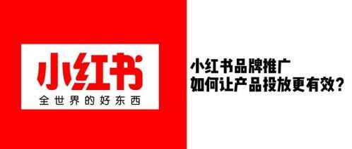 小红书怎么打广告