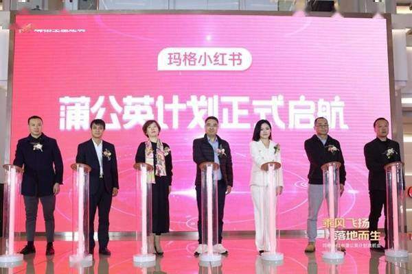 小红书蒲公英怎么开通