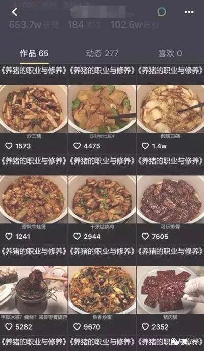 拍做菜视频一个月能赚多少钱