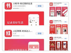 小红书怎么花钱买流量