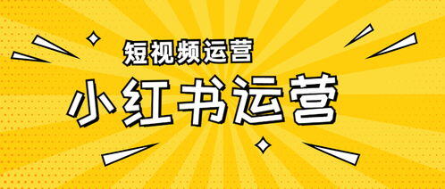 新手怎么运营小红书