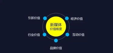 做自媒体真实收入