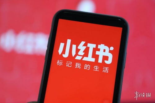 小红书蒲公英平台在哪里