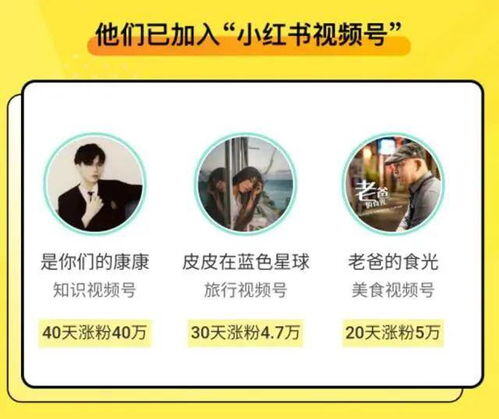 小红书视频号申请条件