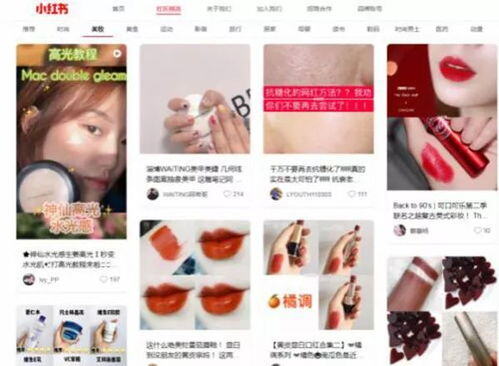 小红书专业号客服电话