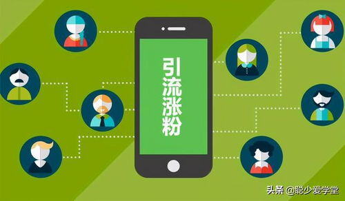 小红书怎么运营吸引粉丝