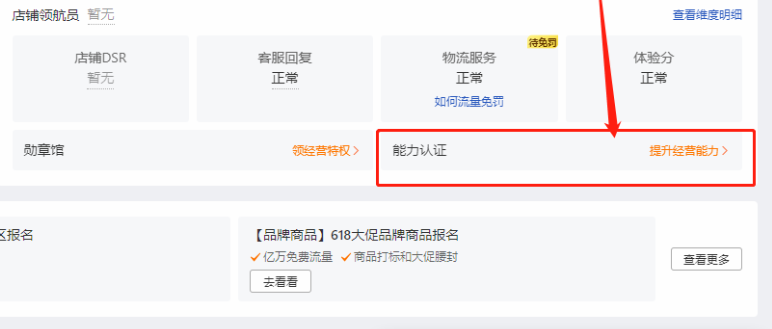 拼多多虚拟类目自动发货（单月多店收入 10000+）