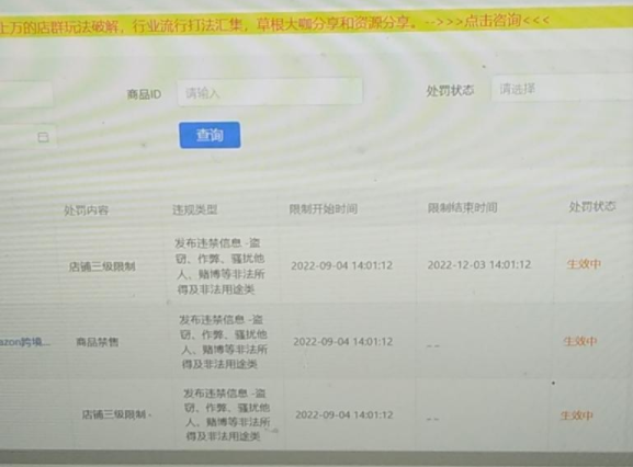 拼多多虚拟类目自动发货（单月多店收入 10000+）