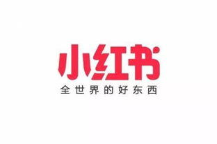 小红书商家入驻费用是多少
