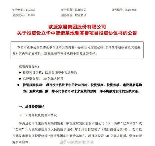 投资50亿的项目大吗