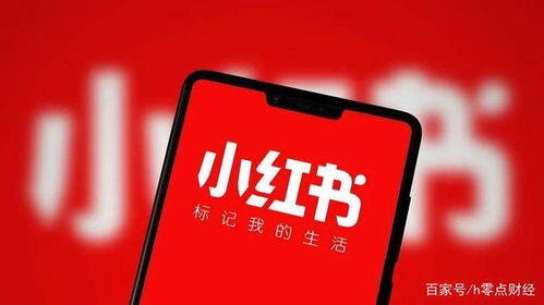 小红书发内容有收益吗