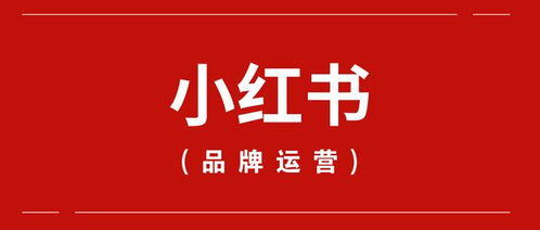 小红书怎么推广自己的产品