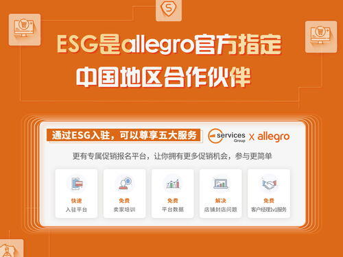 allegro跨境电商平台入驻要求