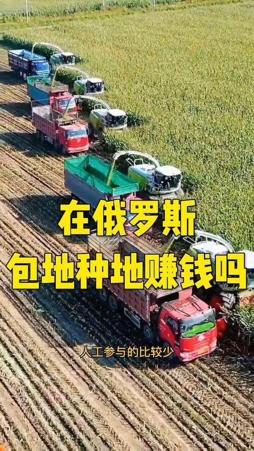 去俄罗斯包地能赚钱吗